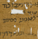 Detail of Papyrus